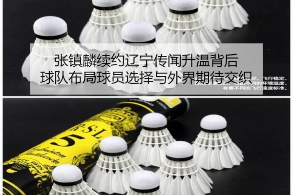 张镇麟续约辽宁传闻升温背后 球队布局球员选择与外界期待交织